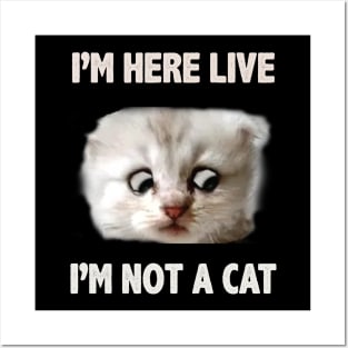 I'm Here Live I'm Not A Cat Posters and Art